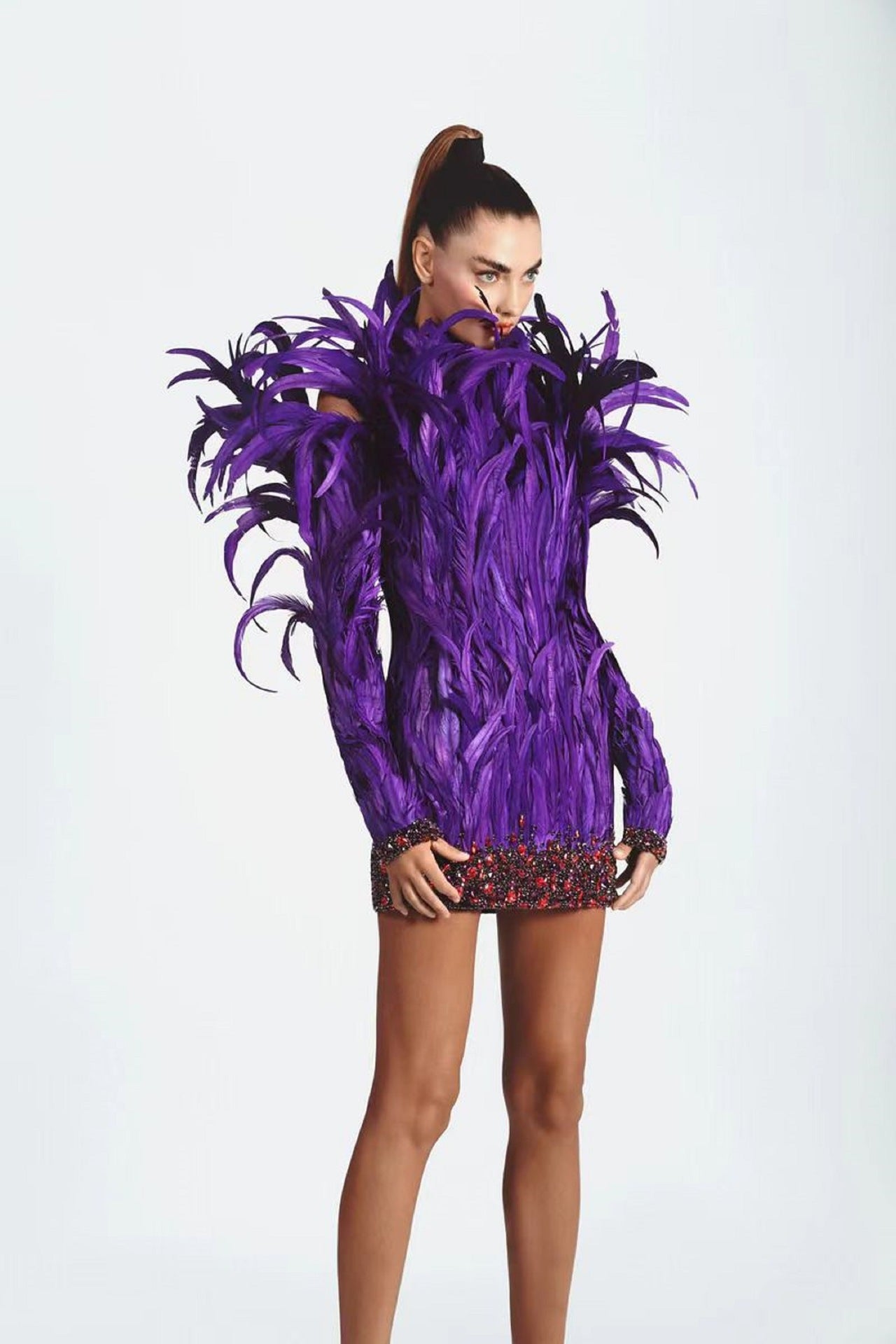 Robe élégante en plumes à la mode, manches longues